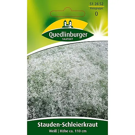 Quedlinburger SAATGUT  Blumensamen Schleierkraut