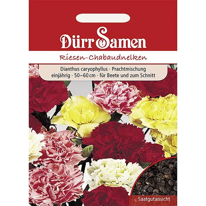 Dürr Samen Gartennelke Prachtmischung Chabaud einjährig 50-60 cm -  - Dürr Samen Tütchen für Riesen-Chabaudnelken in bunter Mischung, zeigt rote, gelbe, rosa und weiße Blüten und Samen.
