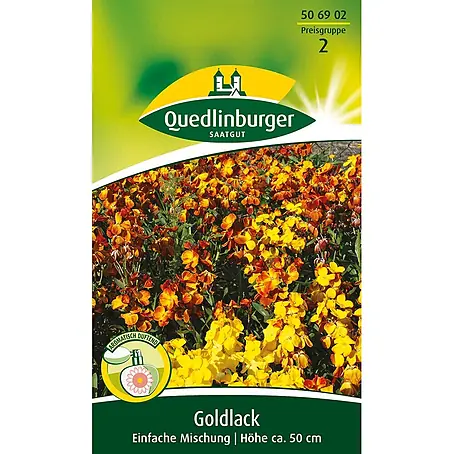 Quedlinburger SAATGUT Goldlack