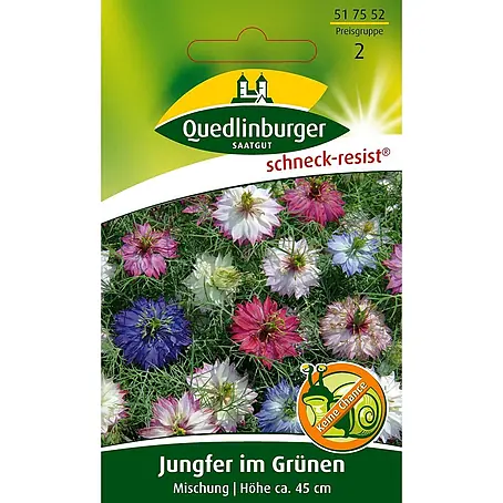 Quedlinburger SAATGUT Jungfer im Grünen Mischung