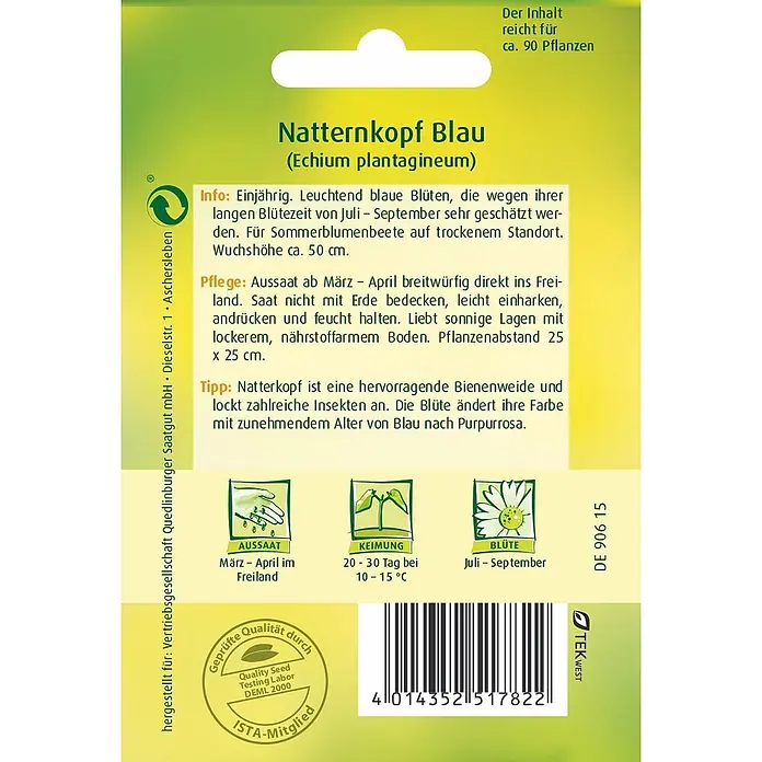 Quedlinburger SAATGUT Blumensamen Natternkopf - Echium plantagineum, Blau - Grün-gelbe Samentüte für Natternkopf Blau (Echium plantagineum) mit Pflanzanleitung.