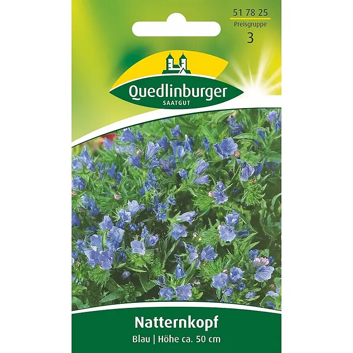 Quedlinburger SAATGUT Blumensamen Natternkopf - Echium plantagineum, Blau - Saatguttüte Quedlinburger Natternkopf mit blauen Blüten, ca. 50 cm hoch.