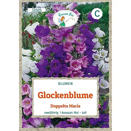 Grüne Fee Glockenblume Doppelte Marie