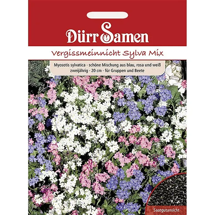 Dürr Samen Vergissmeinnicht Sylva Mix gelb mit Auge zweijährig 20 cm -  - Rotes Dürr Samen 'Vergissmeinnicht Sylva Mix' Samenpäckchen mit blauen, rosa, weißen Blüten und Saatgutansicht.
