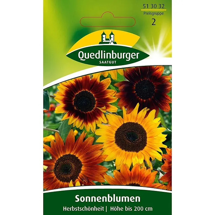 Quedlinburger SAATGUT Blumensamen Sonnenblume - Helianthus annuus, Mehrfarbig - Quedlinburger Sonnenblumensamen-Paket, Sorte 'Herbstschönheit', mit bunten Sonnenblumen. Pflanzen bis zu 200 cm hoch.