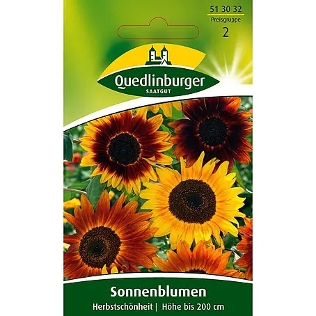 Quedlinburger SAATGUT  Blumensamen Sonnenblume