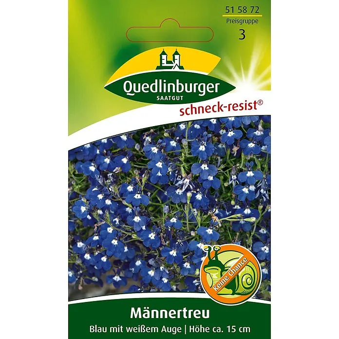 Quedlinburger SAATGUT Männertreu Blau mit weißem Auge -  - Samenpackung für Quedlinburger 'Männertreu' (Lobelia) Blumen, blau mit weißem Auge, ca. 15 cm hoch, schneckenresistent.