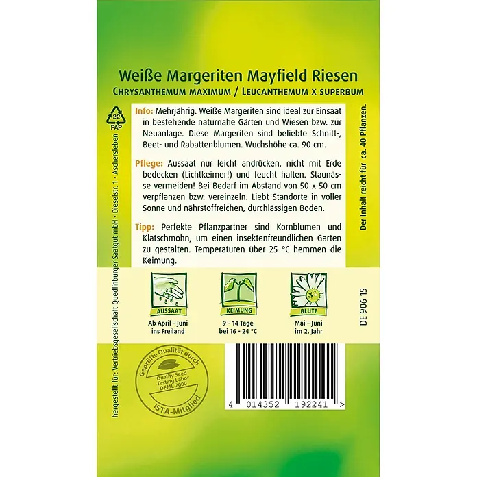 Quedlinburger SAATGUT Blumensamen Margerite - Chrysanthemum maximum, Weiß - Gelb-grüne Samentüte für "Weiße Margeriten Mayfield Riesen" mit Pflanzeninformationen.