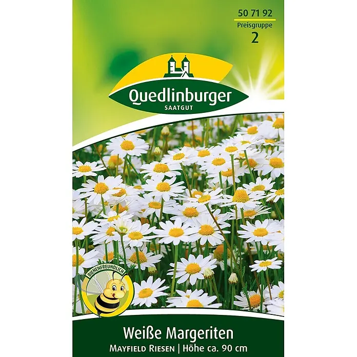 Quedlinburger SAATGUT Blumensamen Margerite - Chrysanthemum maximum, Weiß - Samenpackung für "Mayfield Riesen Weiße Margeriten", bienenfreundlich, ca. 90 cm Wuchshöhe.