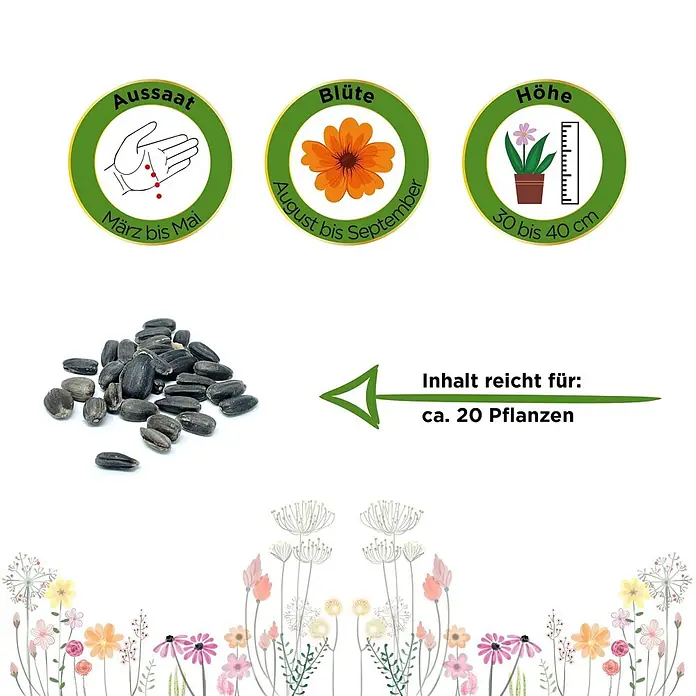 Deine Gartenwelt Zwergsonnenblume Teddybär -  - Sonnenblumenkerne mit Aussaat-, Blüte- und Höhenangaben sowie Hinweis für ca. 20 Pflanzen.
