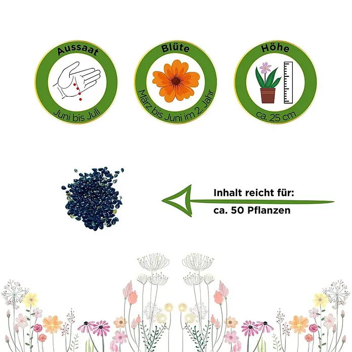 Deine Gartenwelt Vergissmeinnicht Indigo Compacta Blue -  - Saatgutinformationen: Aussaat (Juni-Juli), Blüte (März-Juni 2. Jahr), Höhe (25cm), ergibt ca. 50 Pflanzen.
