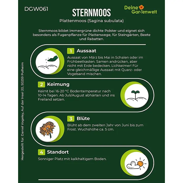Deine Gartenwelt Mastkraut - Plattenmoos -  - Anbauanleitung für Sternmoos (Sagina subulata) mit Schritten zu Aussaat, Keimung, Blüte und Standort.