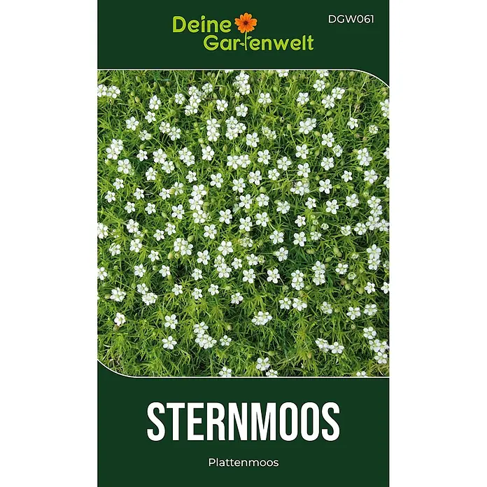 Deine Gartenwelt Mastkraut - Plattenmoos -  - Samenpackung für Sternmoos, mit dichter grüner Pflanze und zahlreichen kleinen weißen Blüten.
