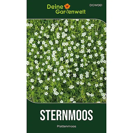 Deine Gartenwelt Mastkraut - Plattenmoos