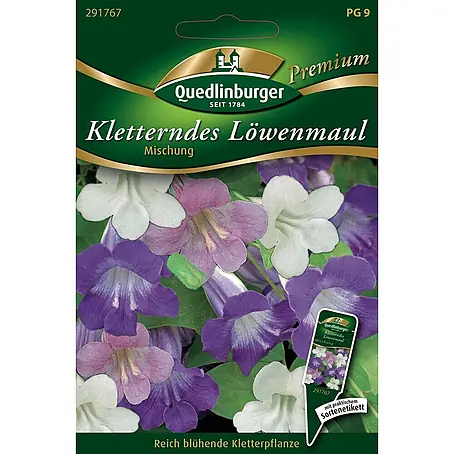 Quedlinburger SAATGUT Kletterndes Löwenmaul Mischung
