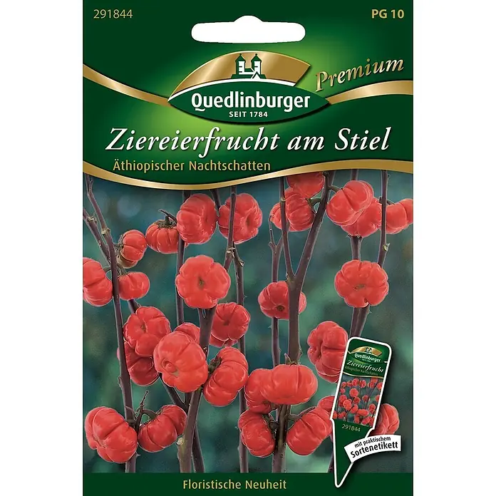 Quedlinburger SAATGUT Blumensamen Ziereierfrucht - Solanum aethiopicum, Rot - Quedlinburger Samentüte für Ziereierfrucht mit rot-orangen, kürbisförmigen Früchten an dunklen Stielen.