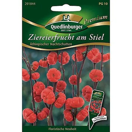 Quedlinburger SAATGUT  Blumensamen Ziereierfrucht