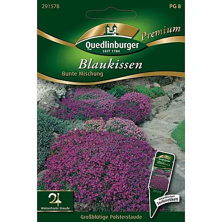 Quedlinburger SAATGUT Blaukissen Bunte Mischung