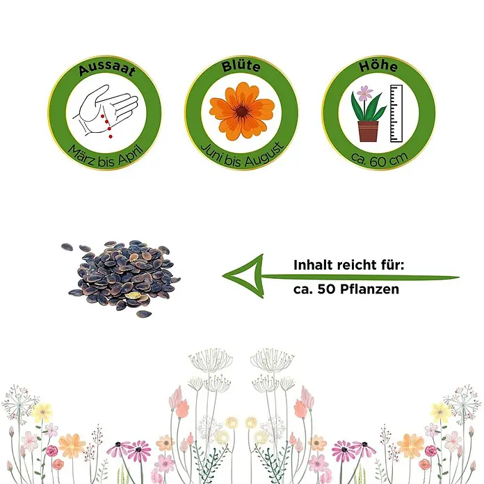 Deine Gartenwelt Staudenlein blau -  - Samen mit Angaben zur Aussaat (März-April), Blüte (Juni-August), Höhe (ca. 60cm) und Ertrag (ca. 50 Pflanzen).