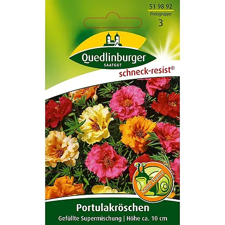 Quedlinburger SAATGUT Portulakröschen Gefüllte