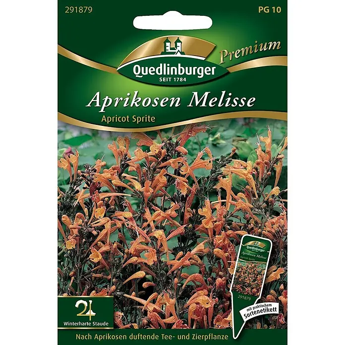 Quedlinburger SAATGUT Aprikosen Melisse -  - Grünes Samenpäckchen für Aprikosen Melisse, eine winterharte Tee- und Zierpflanze mit orangen Blüten.