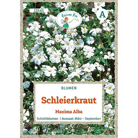 Grüne Fee  Blumensamen Schleierkraut