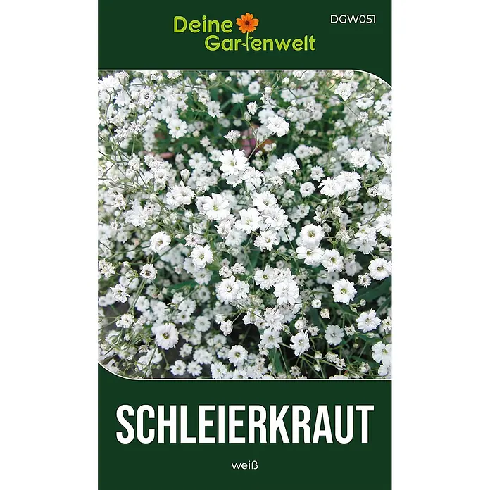 Deine Gartenwelt Stauden-Schleierkraut weiß -  - Grüne Samentüte für weißes Schleierkraut, mit Abbildung zarter weißer Blüten.