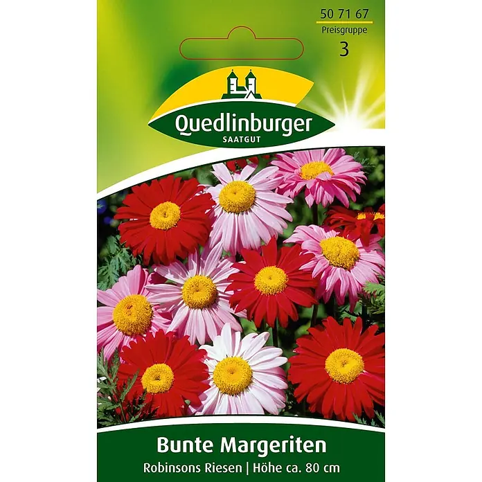 Quedlinburger SAATGUT Blumensamen Margerite - Chrysanthemum maximum, Mehrfarbig - Quedlinburger Saatgut Samenpackung für Bunte Margeriten mit roten, pinken und weißen Blüten und gelben Zentren.