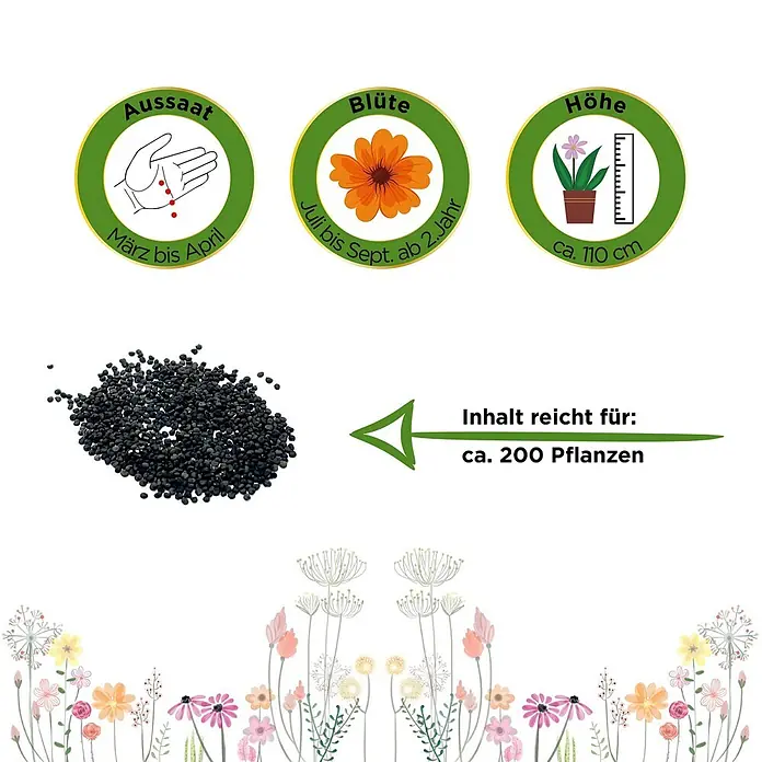 Deine Gartenwelt Stauden-Schleierkraut weiß -  - Schwarze Samen mit Aussaat März-April, Blüte Juli-Sept. (ab 2. Jahr), Höhe ca. 110 cm. Inhalt reicht für ca. 200 Pflanzen.