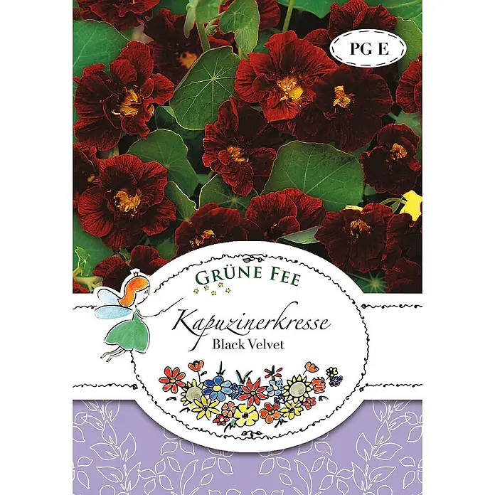Grüne Fee Blumensamen Kapuzinerkresse - Tropaeolum minus L., Tiefrot - Samentüte für 'Black Velvet' Kapuzinerkresse mit dunkelroten Blüten und Feenmotiv.