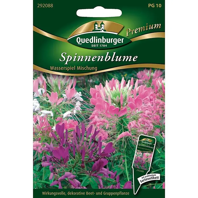 Quedlinburger SAATGUT Blumensamen Spinnenblume - Mischung, Mehrfarbig - Quedlinburger Samentüte 'Spinnenblume Wasserspiel Mischung' mit leuchtenden rosa und violetten Blüten und praktischem Sortenetikett.