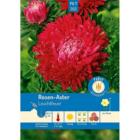 Pabst Keimkraft  Blumensamen Aster
