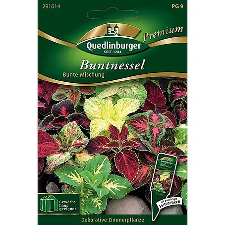 Quedlinburger SAATGUT Buntnessel Bunte Mischung