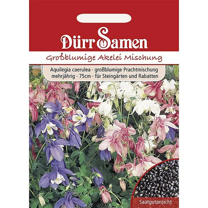 Dürr Samen Großblumige Akelei Mischung mehrjährig 75 cm -  - Samentüte Dürr Samen für großblumige Akelei-Mischung. Zeigt rosa, lila, weiße Blüten und einen Einsatz mit schwarzen Samen.