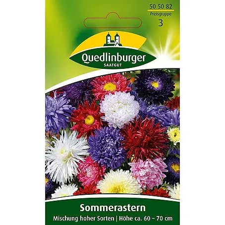 Quedlinburger SAATGUT  Blumensamen Aster