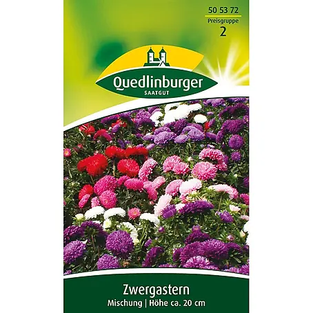 Quedlinburger SAATGUT  Blumensamen Aster