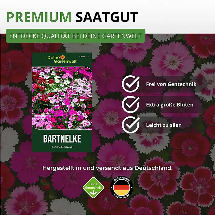 Deine Gartenwelt Bartnelke Gefüllte Mischung -  - Saatguttüte für Bartnelke mit bunten Mischblumen, kennzeichnet Premium-, gentechnikfreie, extragroße Blüten und einfache Aussaat. Hergestellt in Deutschland.