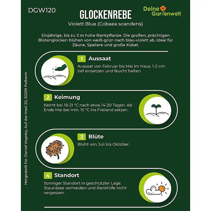 Deine Gartenwelt Glockenrebe Violett Blue -  - Anleitung für die Glockenrebe Violett Blue (Cobaea scandens) mit Informationen zu Aussaat, Keimung, Blütezeit und Standort.