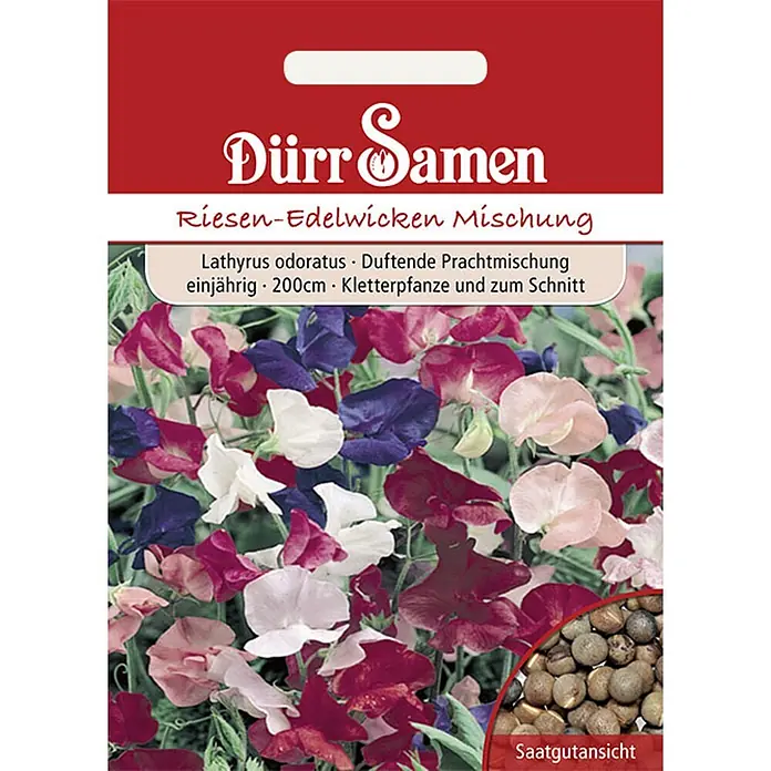 Dürr Samen Edelwicken Prachtmischung einjährig 200 cm -  - Samentüte für Dürr Samen Riesen-Edelwicken Mischung, mit bunten Wickenblüten und einer Ansicht der Samen.