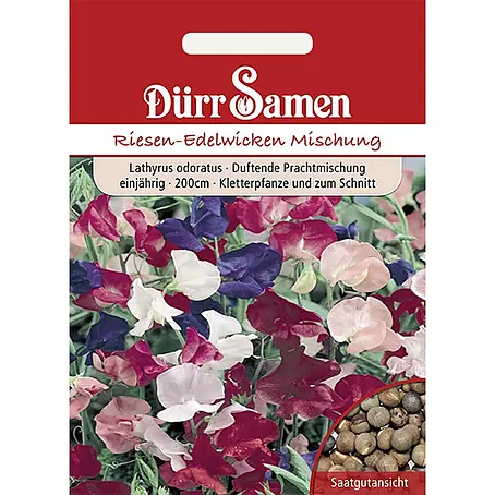 Dürr Samen Edelwicken Prachtmischung einjährig 200 cm