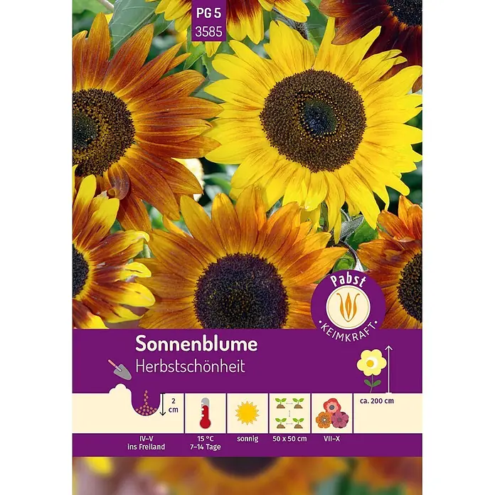 Pabst Keimkraft Sonnenblume Herbstschönheit -  - Mehrfarbige Sonnenblumen 'Herbstschönheit' auf einem Samenpaket mit Pflanzanleitung.