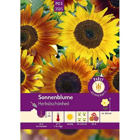 Pabst Keimkraft Sonnenblume Herbstschönheit