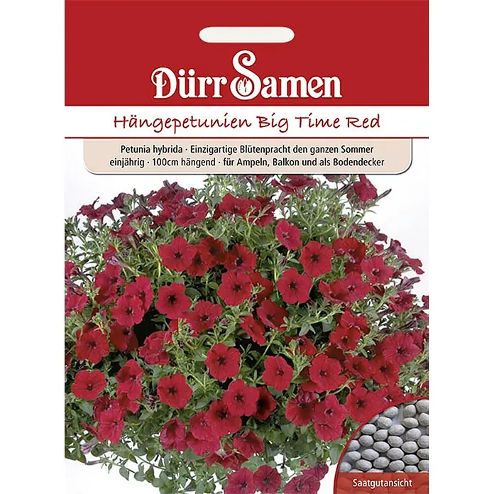 Dürr Samen Blumensamen Petunie - Petunia hybrida, Rot - Samentüte für rote Hängepetunien "Big Time Red" mit leuchtend roten Blüten und Saatgutansicht.