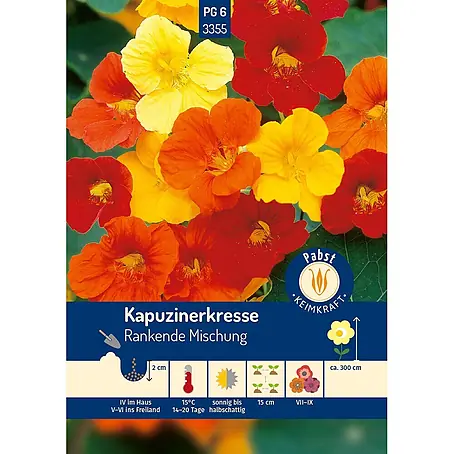 Pabst Keimkraft  Blumensamen Kapuzinerkresse