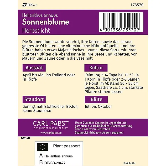 Pabst Keimkraft Sonnenblume Herbstlicht -  - Violette und beige Saatguttüte für Helianthus annuus 'Herbstlicht' (Sonnenblume), mit deutschem Text, Barcode und Pflanzenpass.