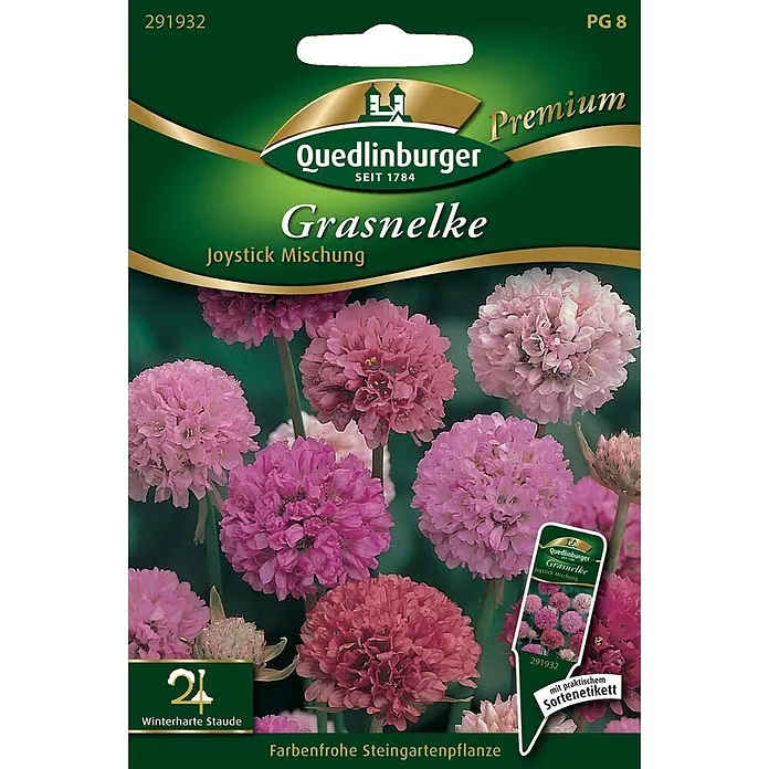 Quedlinburger SAATGUT Gras-Nelken Joystick Mischung -  - Samenpackung Quedlinburger Grasnelke Joystick Mischung, grün mit pink-lilafarbenen Blüten, für farbenfrohe Steingartenpflanzen.