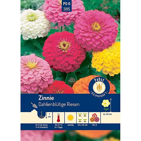 Pabst Keimkraft  Blumensamen Zinnie