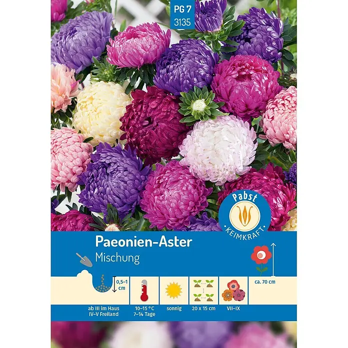Pabst Keimkraft Blumensamen Aster - Callistephus chinensis, Mehrfarbig - Farbenfrohe Mischung aus Pfingstrosen-Astern in Lila, Pink, Weiß, Gelb, mit Pflanzanleitung für sonnigen Standort und ca. 70 cm Wuchshöhe.