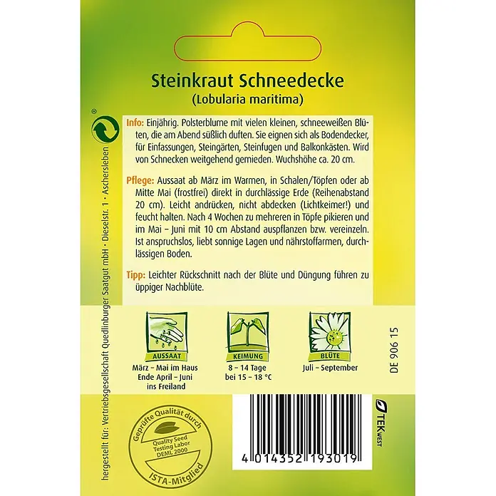 Quedlinburger SAATGUT Steinkraut Schneedecke -  - Samentüte für Steinkraut Schneedecke mit Pflanzanleitung, Pflegetipps und Barcode. Grüne Verpackung mit Pflanzenillustrationen.