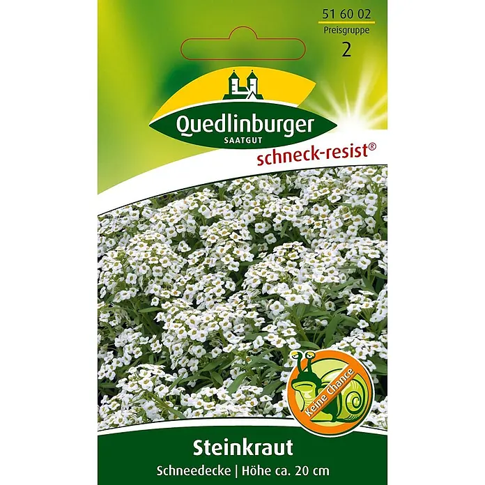 Quedlinburger SAATGUT Steinkraut Schneedecke -  - Samenpackung für schneckenresistentes Steinkraut (Alyssum) mit weißen Blüten, Marke Quedlinburger.
